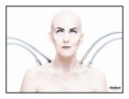 /album/robot/a24102012-ang8143-copy-jpg/